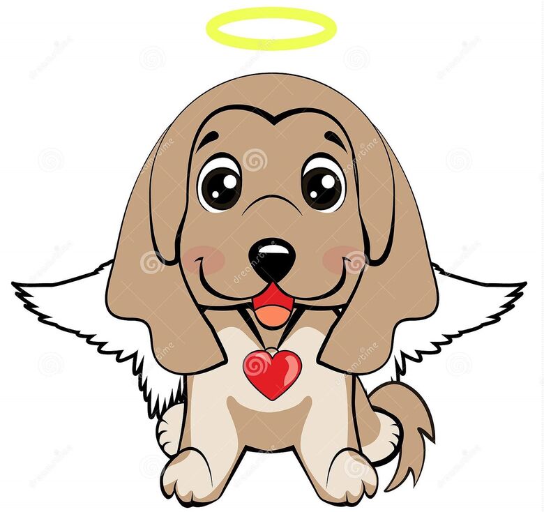 Homenagem da Funerais Pet ao cachorrinho Pitoco -