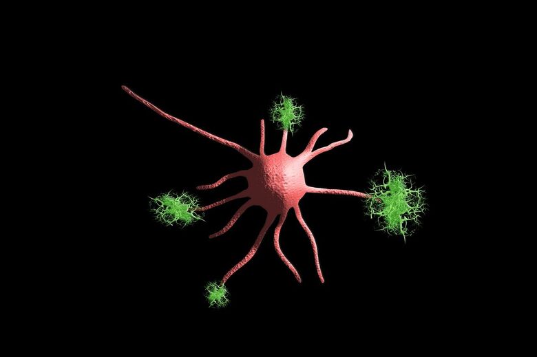 Estudo da UFSCar avalia a relação entre composição corporal de idosos e Alzheimer - Crédito: Pixabay