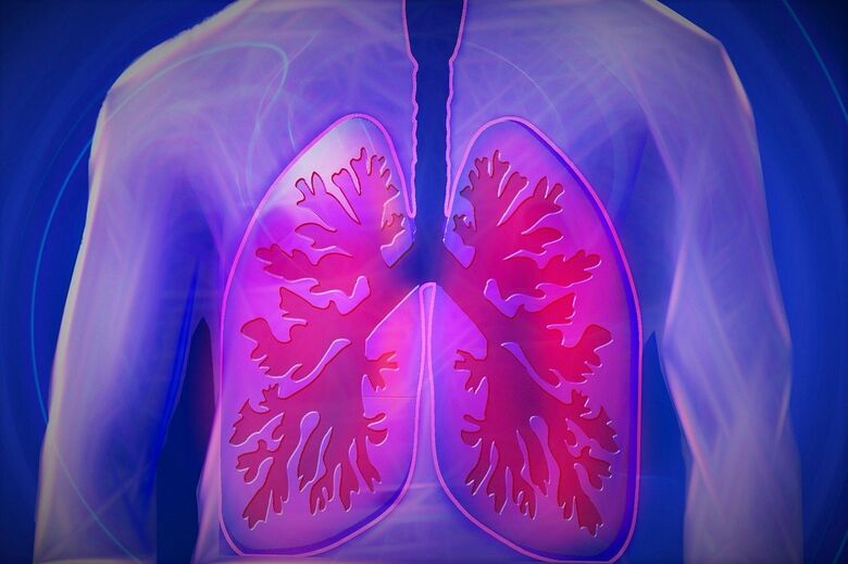Pesquisa sobre agravamento da COVID-19 nos pulmões abre caminho para tratamento - Crédito: Pixabay