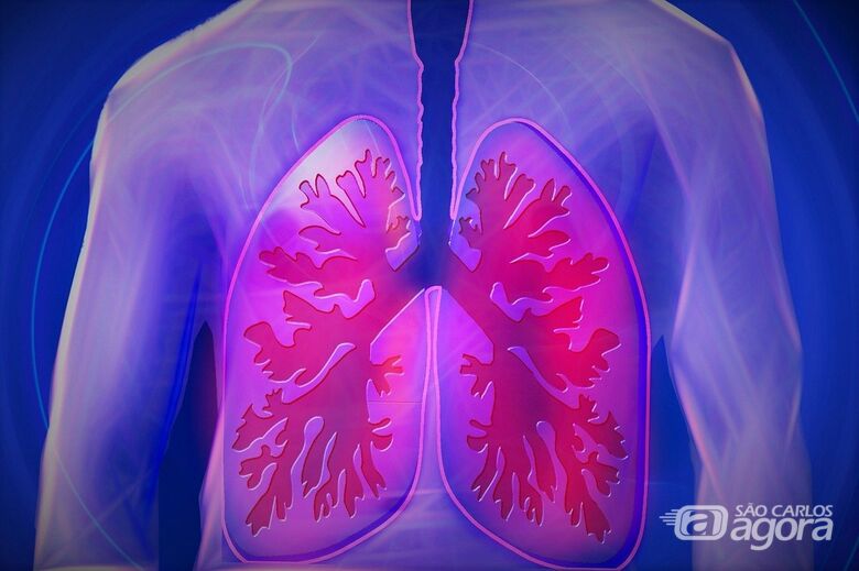 Pesquisa sobre agravamento da COVID-19 nos pulmões abre caminho para tratamento - Crédito: Pixabay