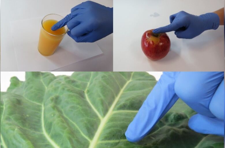 Cientistas da USP de São Carlos criam luva que detecta pesticidas em alimentos - Crédito: Foto: Nathalia Gomes/USP