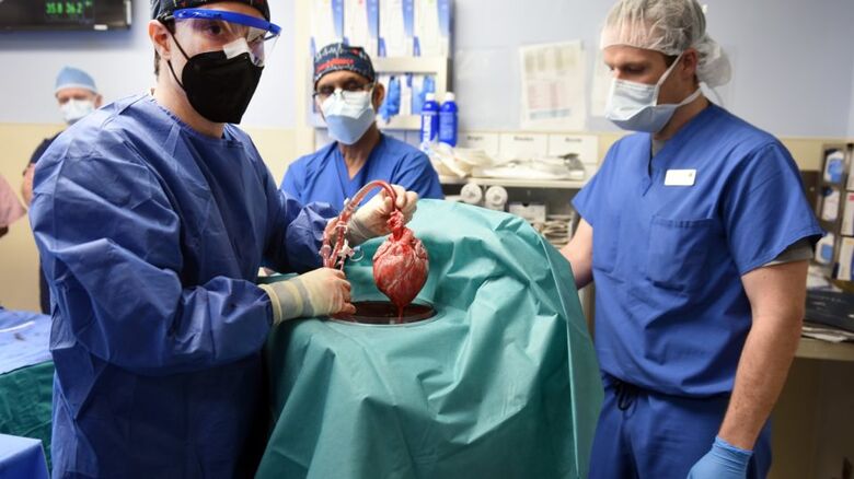 Agência reguladora de produtos e serviços de saúde nos Estados Unidos concedeu autorização emergencial para a cirurgia| - Crédito: Foto: Tom Jemski/Faculdade de Medicina da Universidade de Maryland