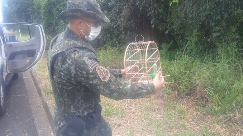 Dezesseis aves silvestres que eram mantidas em cativeiro são apreendidas em São Carlos - 