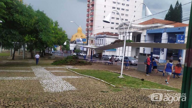 Chuva de 20 milímetros derruba árvores em São Carlos - Crédito: Maycon Maximino