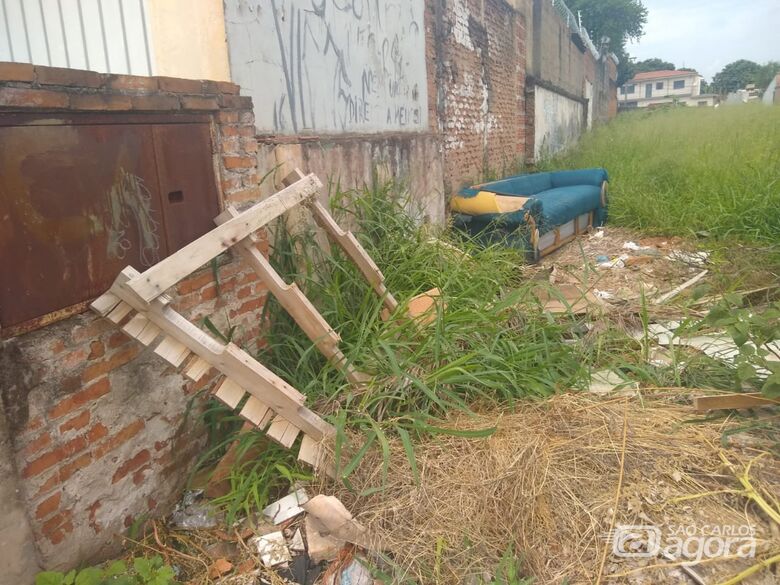 Terrenos estão na mira da fiscalização - Crédito: divulgação