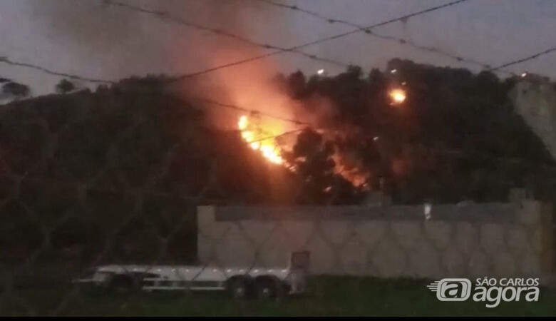 Incêndio atinge mata e assusta moradores no Monte Carlo - Crédito: Reprodução