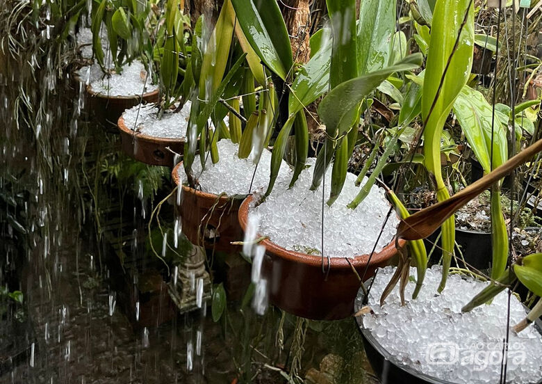 Granizo se acumulou em vasos - Crédito: Whatsapp SCA - 99963-6036