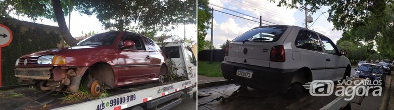 Gols furtados são encontrados parcialmente depenados - Crédito: Maycon Maximino