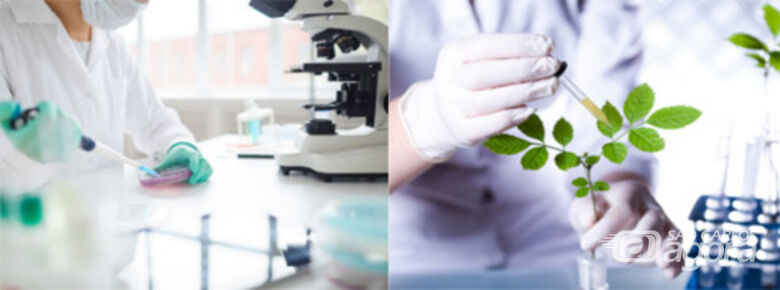 IFSC/USP São Carlos organiza simpósio de Nanotecnologia aplicada à Medicina e ao Agronegócio - Crédito: Divulgação