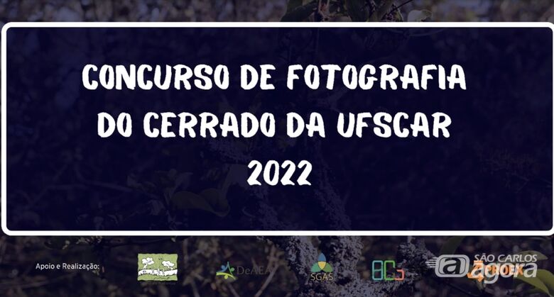 Site da BCo apresenta versão online de exposição - Crédito: Divulgação