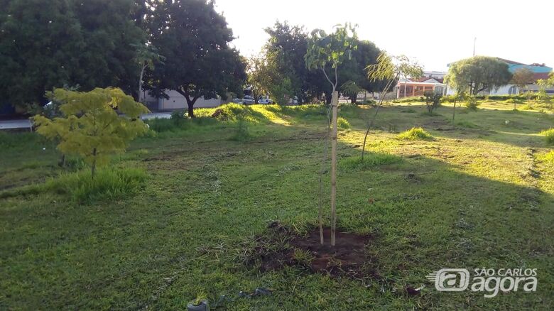 Parceiros realizaram visita técnica em áreas dos plantios - Crédito: Gustavo Galetti