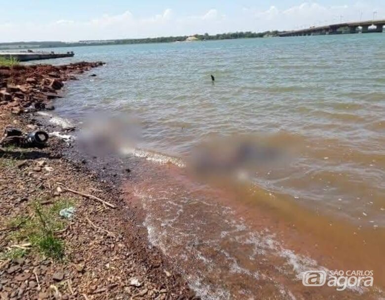 Cinco pessoas da mesma família morrem afogadas na região -