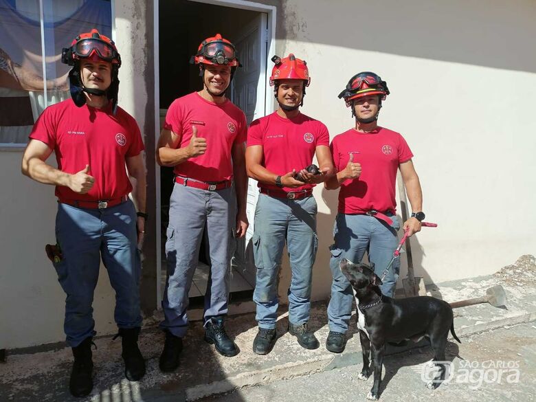 Membros da corporação com o bebê cachorro e com a mamãe dele: um belo final de história - Crédito: Divulgação