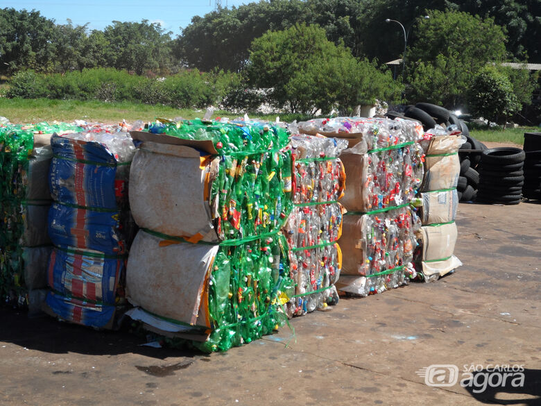 Descarte correto do lixo e reciclagem são essenciais na gestão de resíduos - Crédito: Cristine Santiago