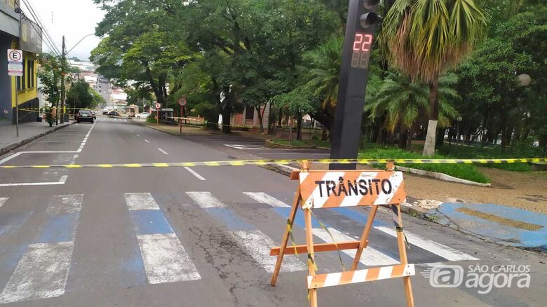 Prefeitura interdita rua Dona Alexandrina por risco de queda de árvore - Crédito: Maycon Maximino