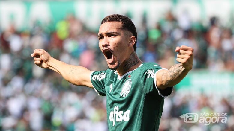 Rua Ribeiro - Crédito: Reprodução/Site Oficial Palmeiras