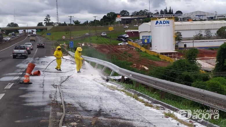 Integrantes do Corpo de Bombeiros durante a limpeza do acostamento: enxame dispersado - Crédito: Maycon Maximino
