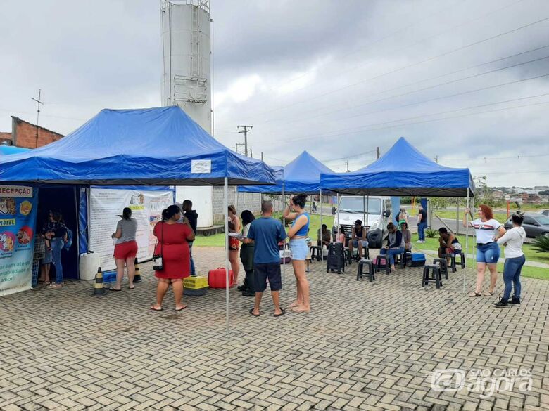 Mais de 250 castrações de cães e gatos são realizadas em São Carlos - Crédito: Divulgação