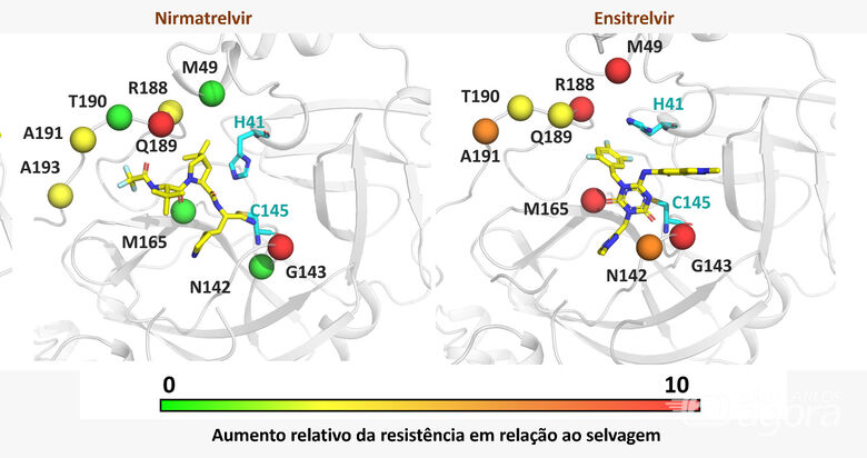 Figura mostra as posições das mutações onde foram identificados focos de resistência para os antivirais - Crédito: Divulgação