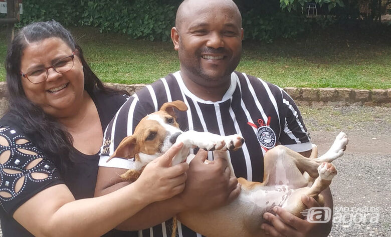 28 animais são adotados na feira do Canil Municipal - Crédito: divulgação/PMSC