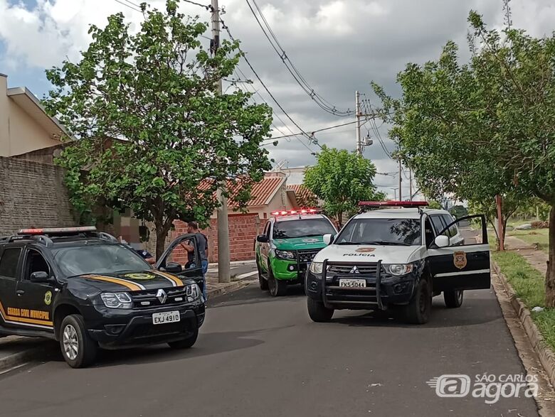 Polícia Civil e GCM apreendem drogas durante operação em Ibaté - Crédito: divulgação