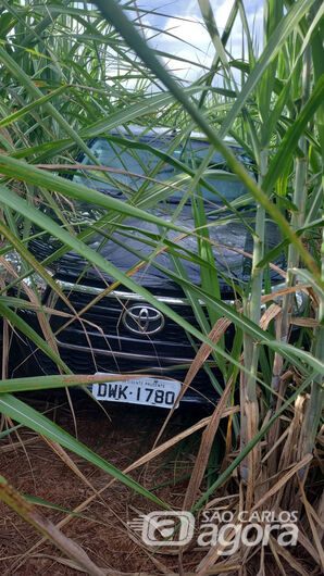 Caminhonete furtada em Araraquara é localizada em canavial na região de Ibaté -