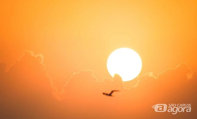 “Domingo Solar” terá mais uma edição neste domingo (26) - Crédito: Francesco Ungaro