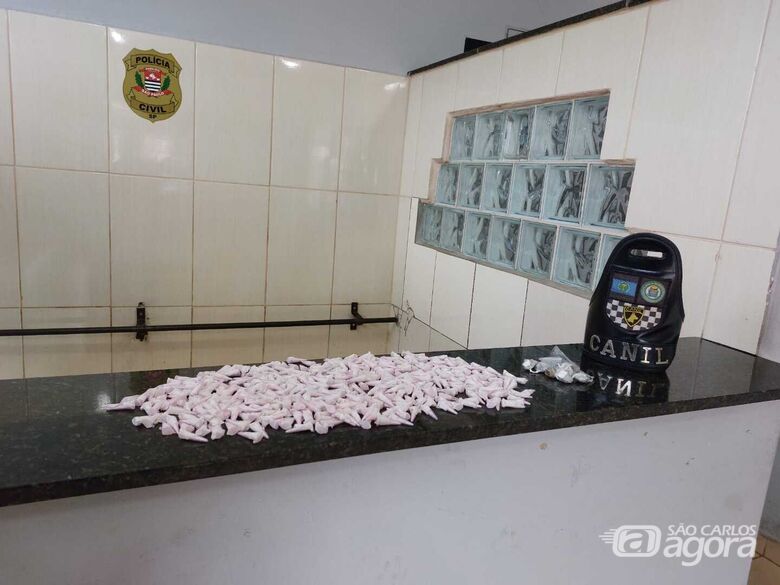 A droga apreendida pela equipe Canil da GM - Crédito: Divulgação