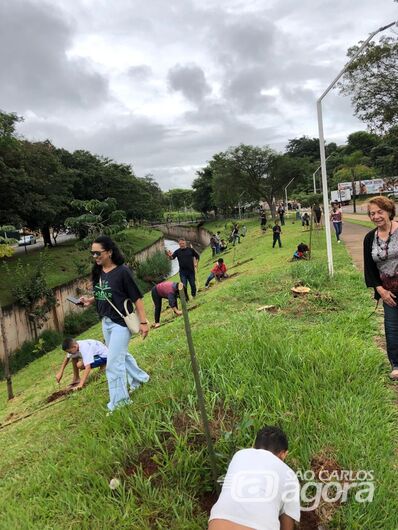 Plantio de 200 mudas de árvore marca evento sobre mudanças climáticas em São Carlos - Crédito: Divulgação