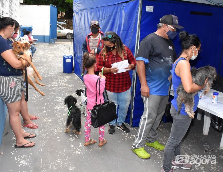 Prefeitura encerra primeiro trimestre de 2023 com 1.092 castrações de cães e gatos - Crédito: Divulgação