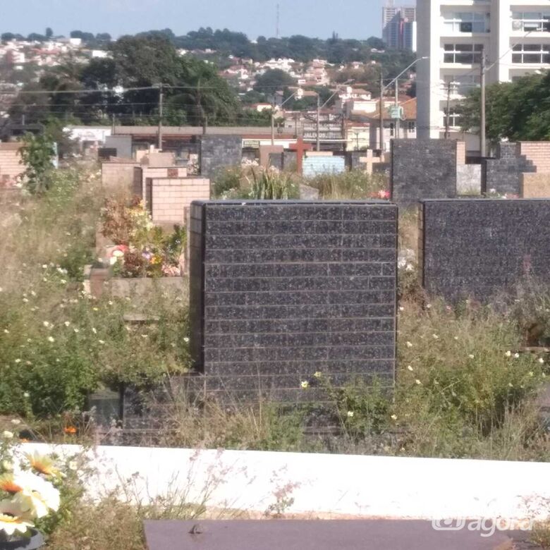 Falta de respeito (e de manutenção): são-carlenses reclamam de abandono de cemitérios - Crédito: Whatsapp SCA