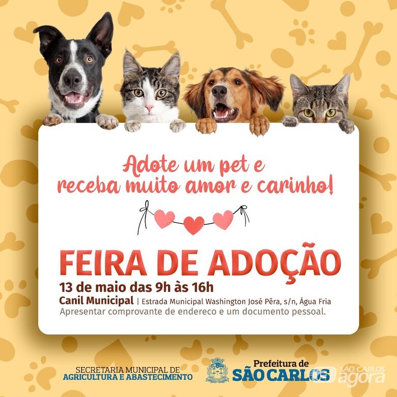 Feira de adoção animal acontece neste sábado no canil municipal -