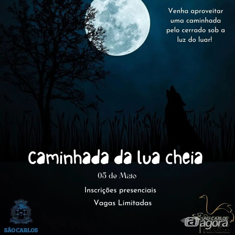 Parque Ecológico realiza caminhada da lua cheia - Crédito: Divulgação