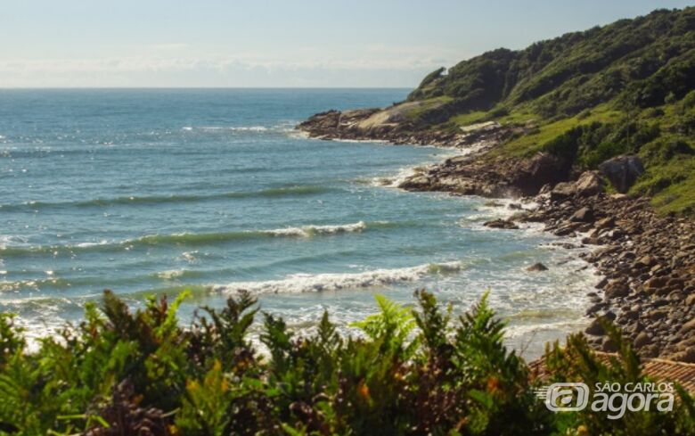 Larissa Cadorin (via Flickr). - 