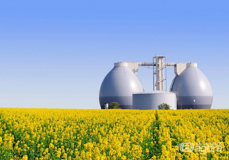 “Ciência às 19 Horas” debate “Do etanol ao hidrogênio: 120 anos de pesquisa no Brasil” - Crédito: Divulgação
