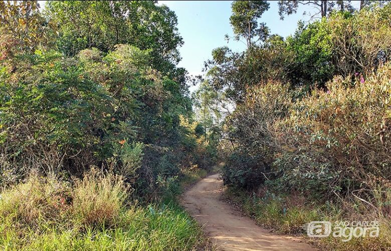 Trilha da Natureza promove visita especial pelo Dia Mundial da Limpeza - Crédito: @trilhadanaturezaufscar