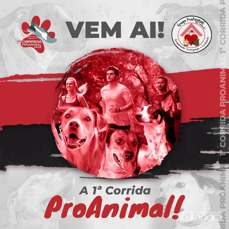 1ª Corrida Proanimal São Carlos será no dia 22 de outubro -