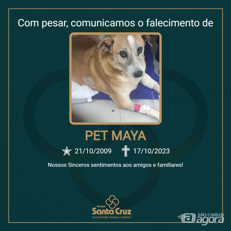 Homenagem do Grupo Santa Cruz a pet Maya - 
