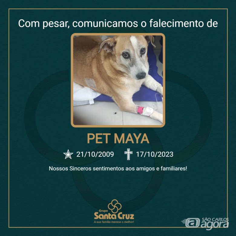 Homenagem do Grupo Santa Cruz a pet Maya -