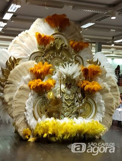 Carnavalesco de São Carlos é classificado para a final do concurso de fantasias - Crédito: Prefeitura Municipal