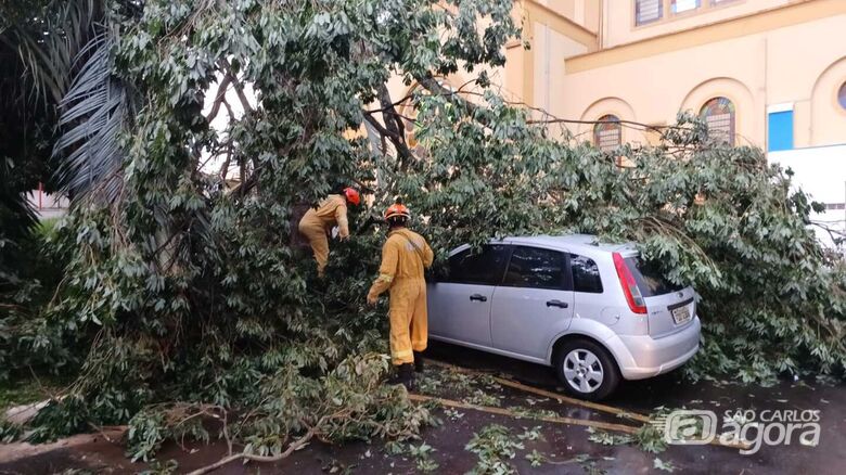 Galho de árvore cai sobre carro no Largo São Benedito  - Crédito: Colaborador 