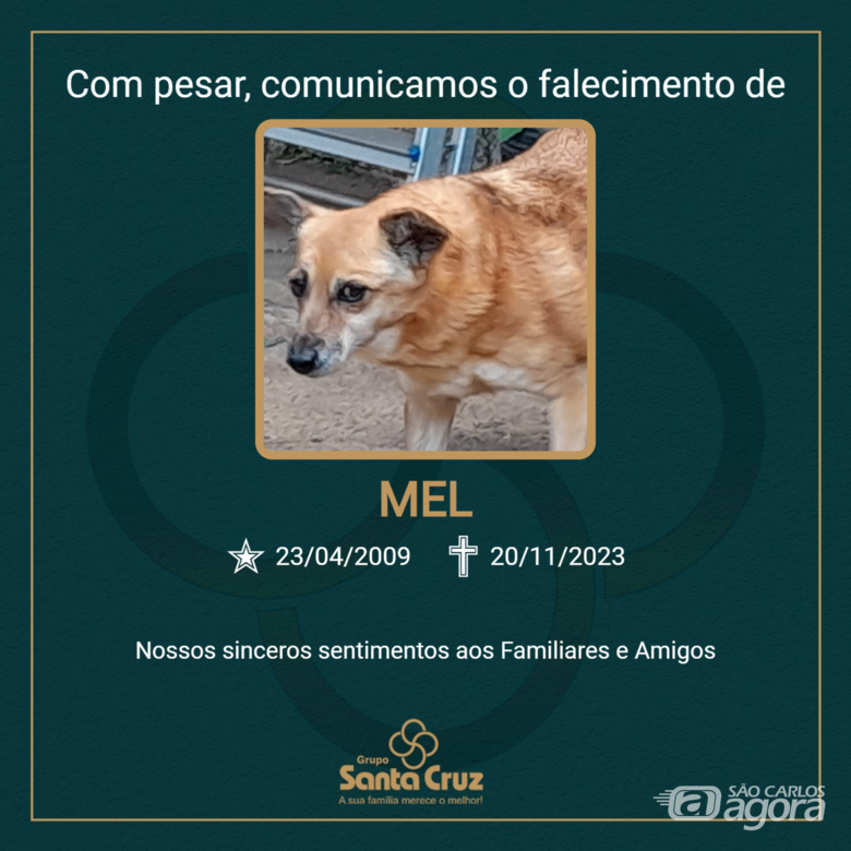 Homenagem do Grupo Santa Cruz a pet Mel -