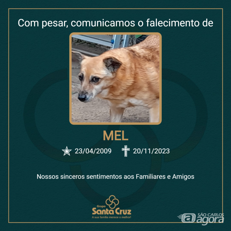 Homenagem do Grupo Santa Cruz a pet Mel - 