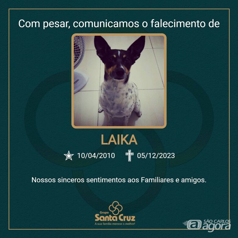 Homenagem do Grupo Santa Cruz a pet Laika - 