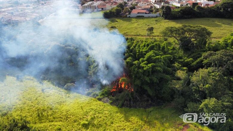 Incêndio de grandes proporções atinge mata na região do bairro Portal do Sol  - Crédito: WhatsApp SCA 