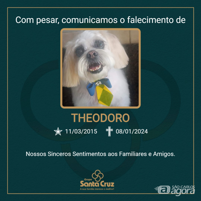 Homenagem do Grupo Santa Cruz ao pet Theodoro - 