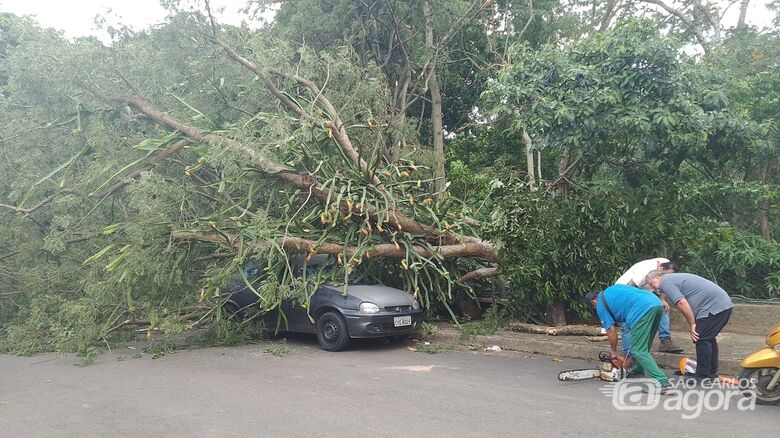 Árvore caí sobre veículo no Jardim Cruzado em Ibaté  - Crédito: WhatsApp SCA 
