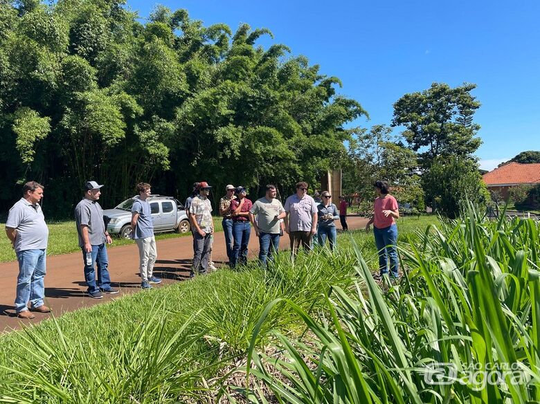 A pesquisadora Patrícia Menezes fala sobre pastagens para um grupo de visitantes na Embrapa Pecuária Sudeste - Crédito: Gisele Rosso