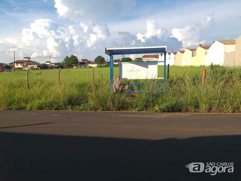 Matagal toma conta de ponto de ônibus no Jardim Cardinalli - Crédito: Divulgação