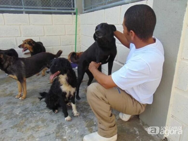 Presídios no Brasil poderão acolher cães e gatos para ressocialização de presos - Crédito: divulgação